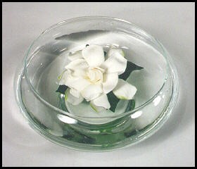 Denise Was a Lilly